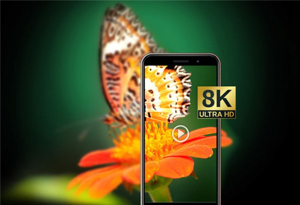 202210310340330993210014