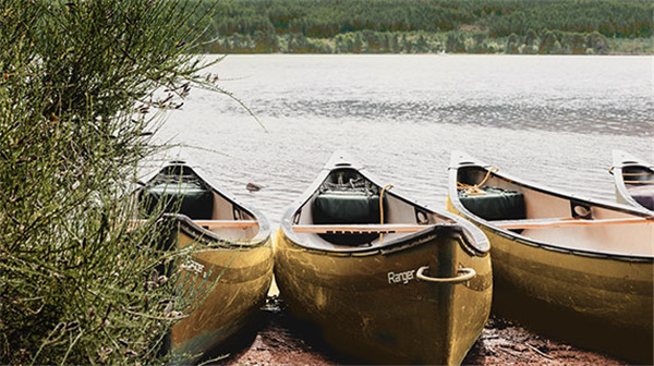 202210310357187811370013