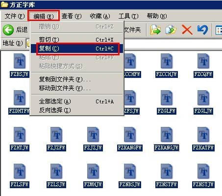 202210310400246407480002