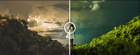 202210310404327514650010