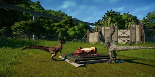 202210310404593933560017