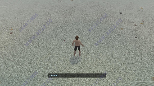 202210310405375812110001