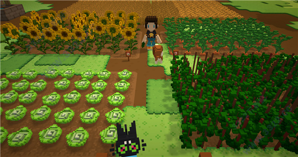 202210310407009790650004