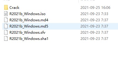 202210310413356191070001