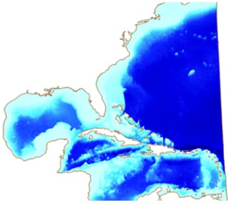 202210310427113255610005