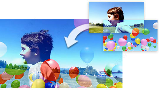 202210310435096771280019