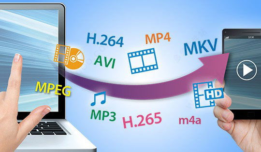 202210310435135651740031