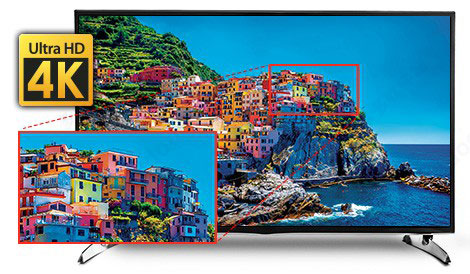 202210310435139216370032