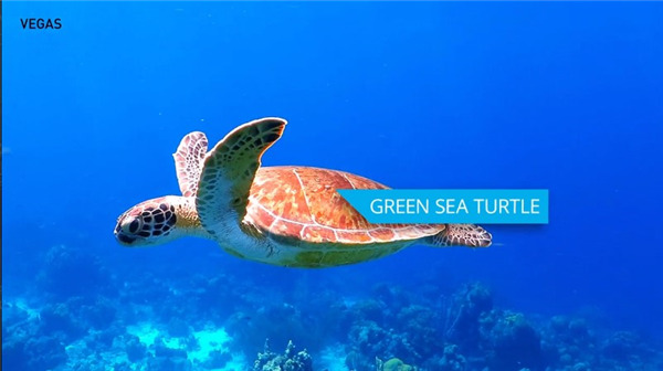 202210310435522057140007