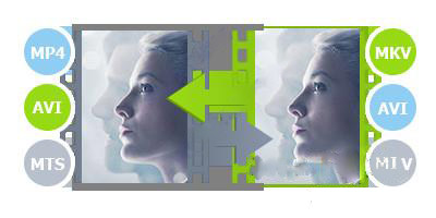 202210310437449419170013