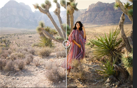 202210310449390487280007