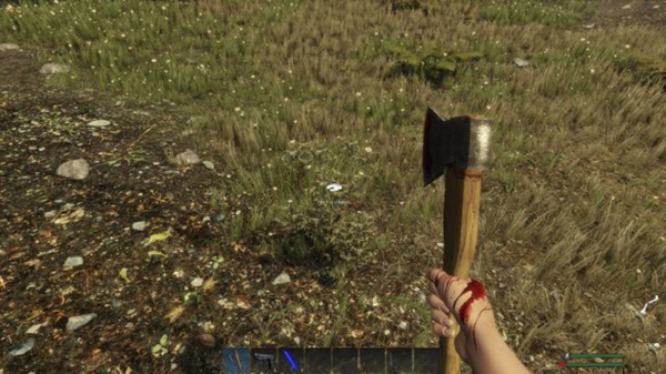 202210310523343459810010