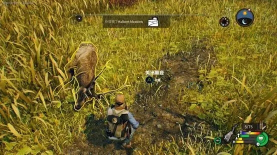 202210310524404797500010