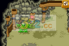 202210310527060471620010