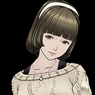 202210310529079309070013