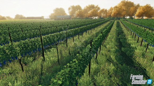 202210310545504730310023