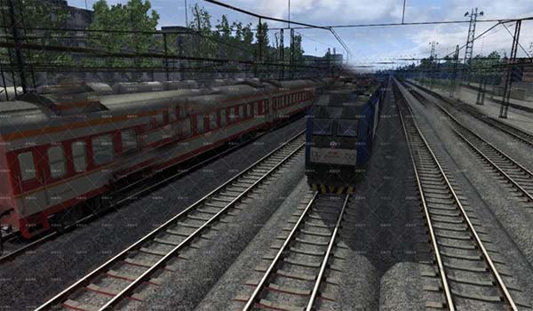 202210310547189049020000