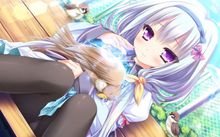 202210310552377508360006