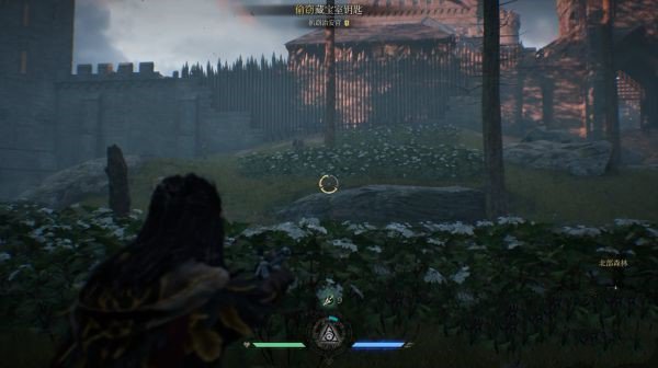 202210310602346780460011