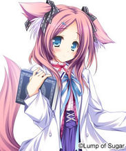 202210310611251199050005