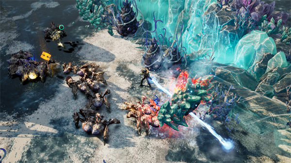 202210310617556208100010