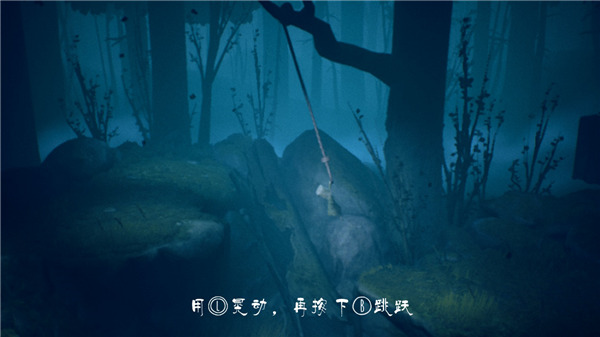 202210310621378436240017