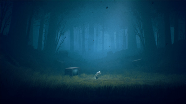 202210310621457412620007