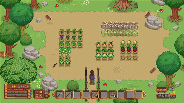 202210310629176289450006