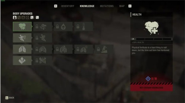 202210310632546753540012