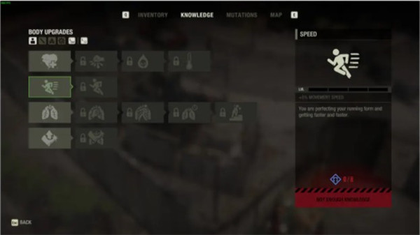 202210310632549786070013