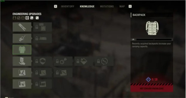 202210310632566510050018