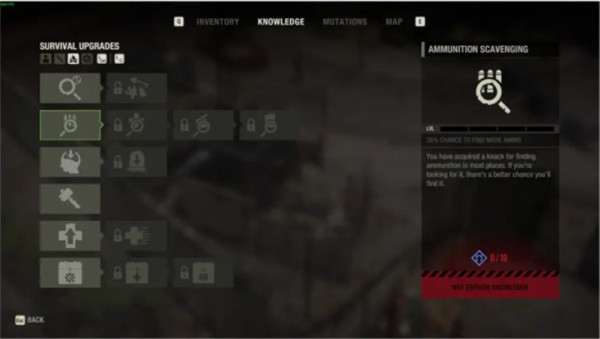 202210310632598528030028