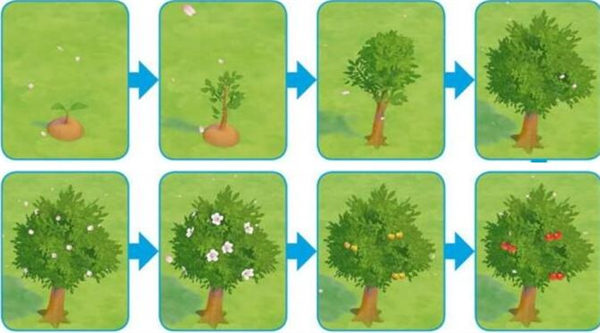 202210310639527254200018