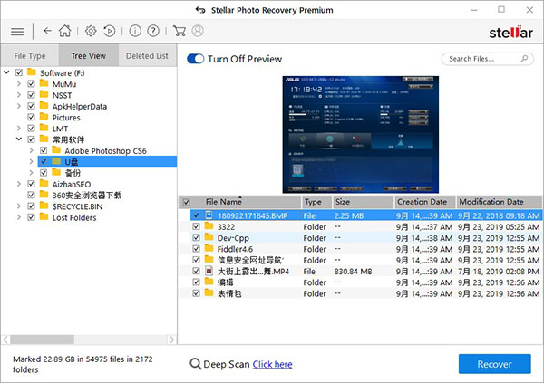 202210310651159453870005