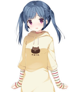 202210310655440291410006