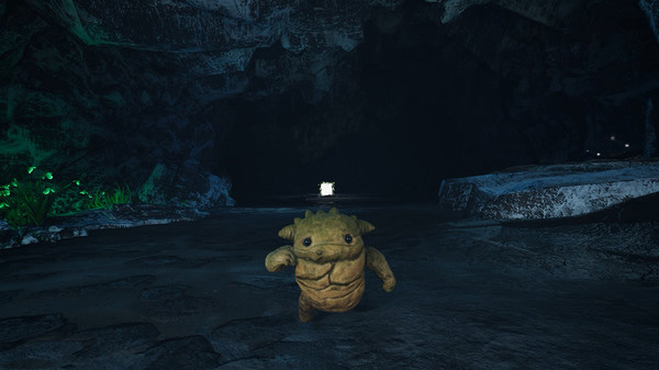 202210310708080549320003