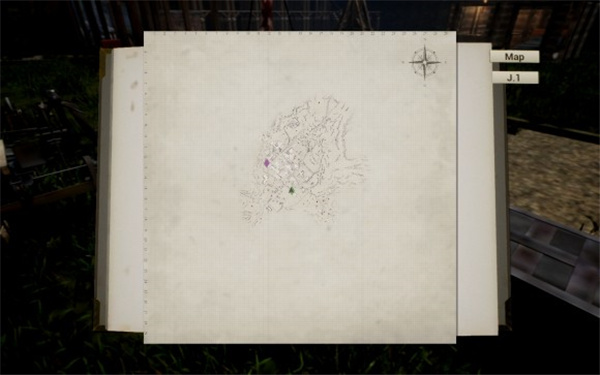 202210310712084519070013