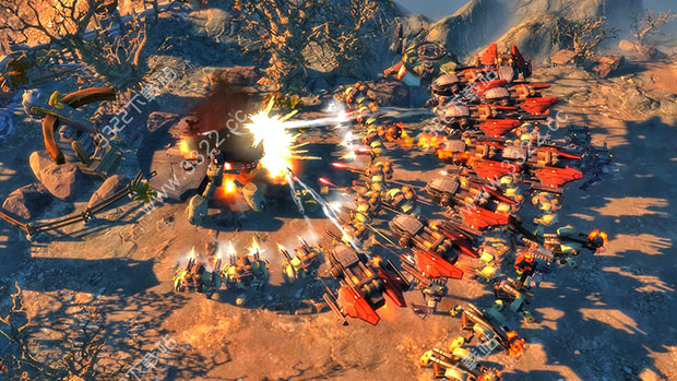 202210310717240016110002