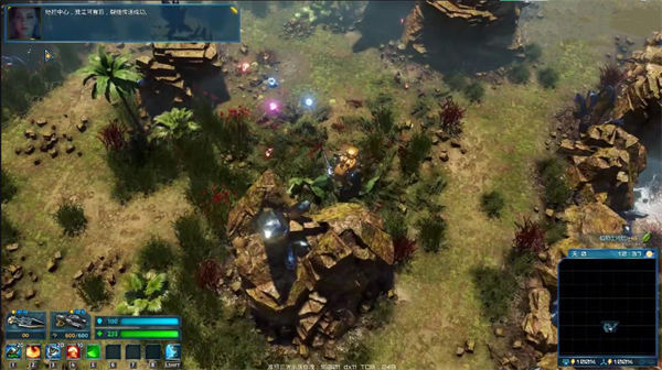 202210310718197537490009