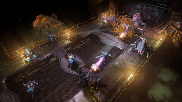 202210310722242794800002