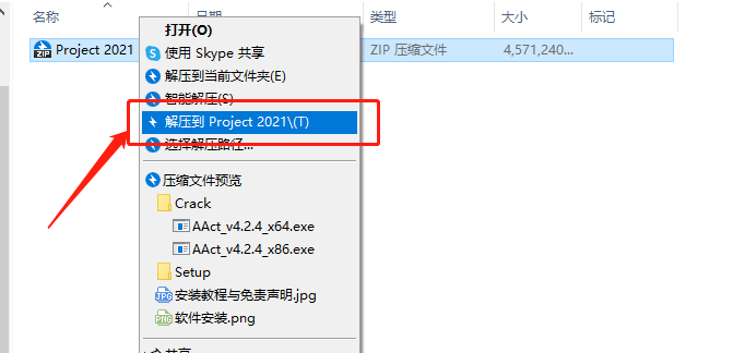 Project 2021下载